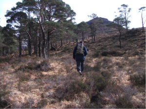 Walking in Torridon, Scotland.